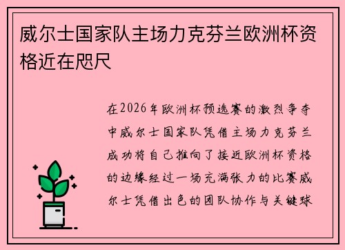 威尔士国家队主场力克芬兰欧洲杯资格近在咫尺